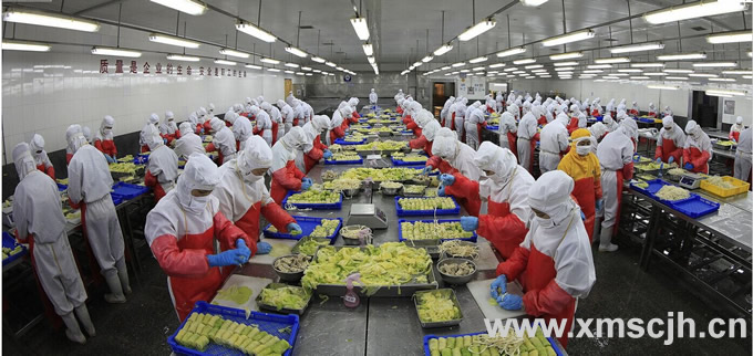 食品無菌車間系列